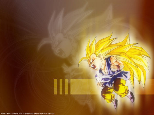 DBZ-Path - WEB-GEAR Homepage - http://www.dbz-path.ag.vu 